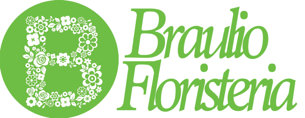 Aliado: Braulio Flori